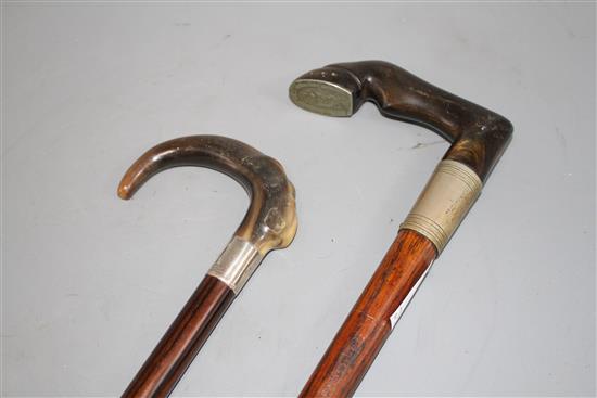 An Edwardian oak walking stick with pewter mounted horn horse hoof handle, 84cm and an ebony walking stick with silver banded horn hand